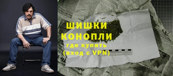 прущие крисы Кулебаки