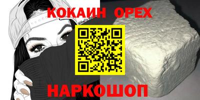 индика Новодвинск