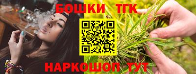 индика Новодвинск
