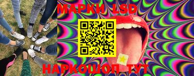 индика Новодвинск