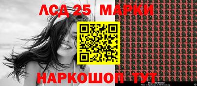 индика Новодвинск