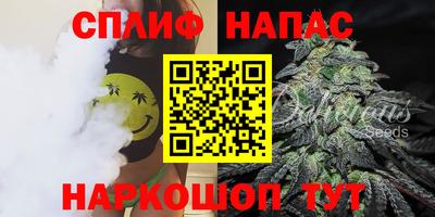 тгк Новозыбков