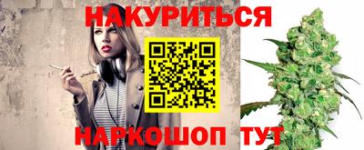 индика Новодвинск