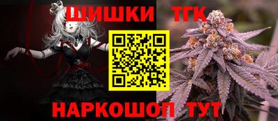 тгк Новозыбков