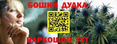 тгк Новозыбков