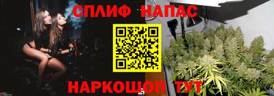 индика Новодвинск