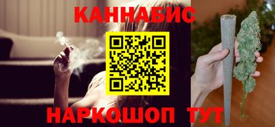 индика Новодвинск