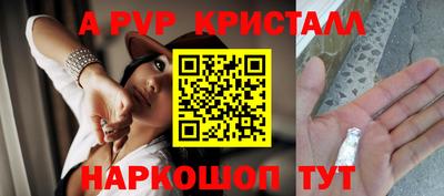 тгк Новозыбков