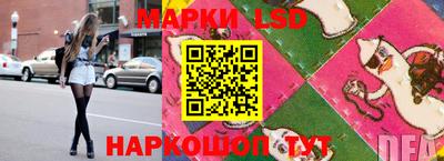 индика Новодвинск