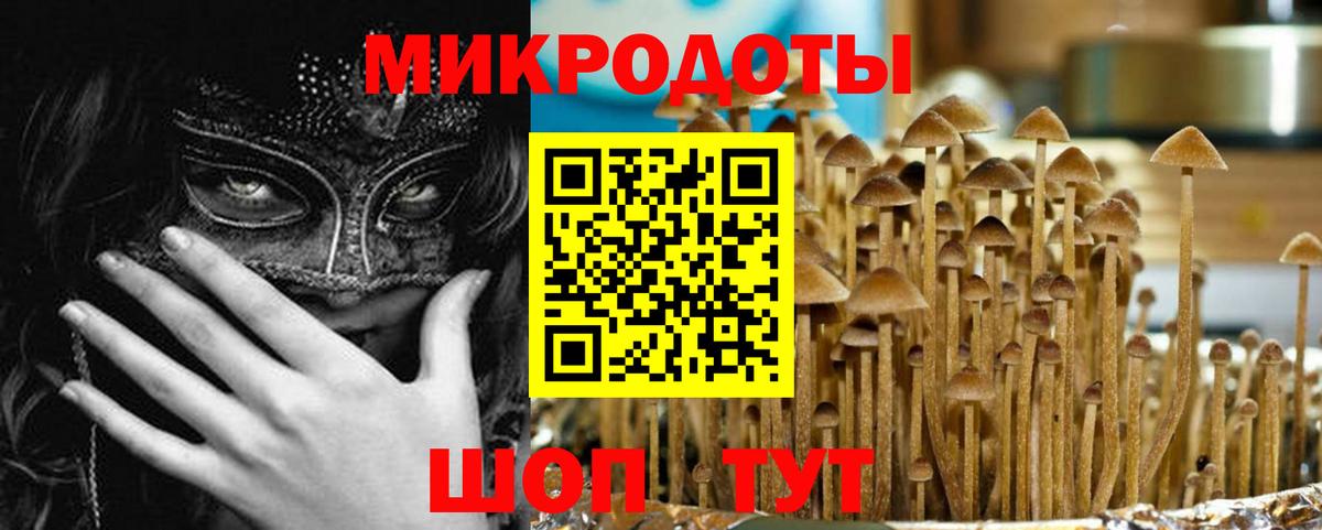 где можно купить наркотик  Галлюциногенные грибы GOLDEN TEACHER  Вход с VPN  Галлюциногенные грибы ЛСД  Георгиевск 