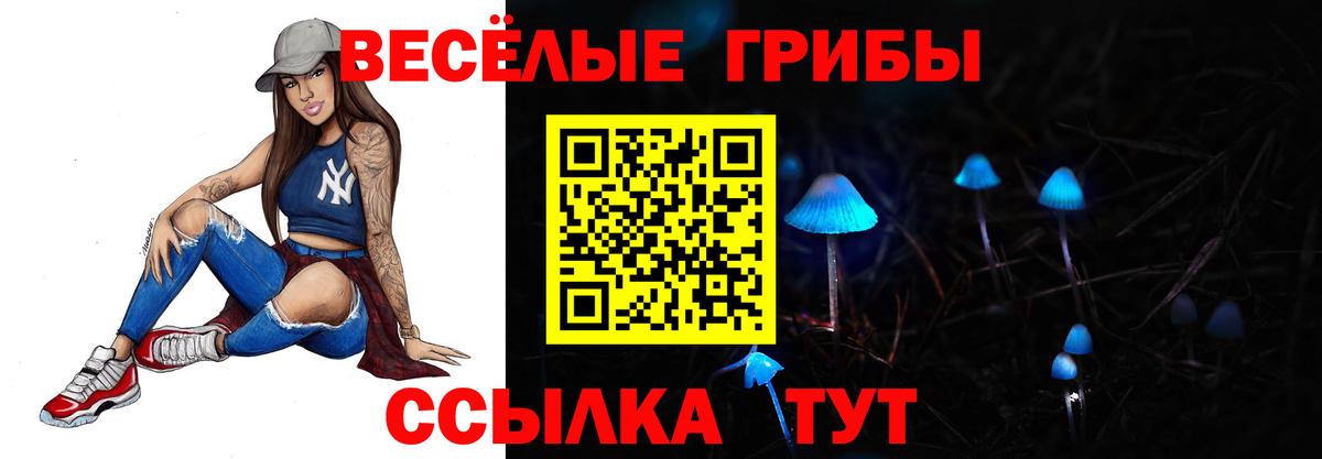 Псилоцибиновые грибы прущие грибы Георгиевск